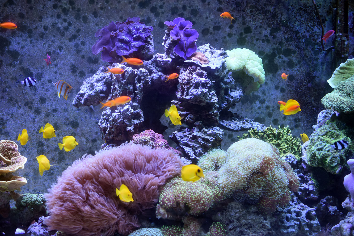 You are currently viewing October 1, 2019 – Sweepstakes Continues; Wonder Within Reach